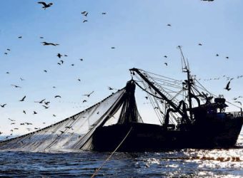 barcos-pesqueros-02