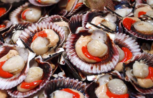 16. SCALLOPS