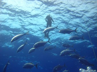 pesca-mar-01